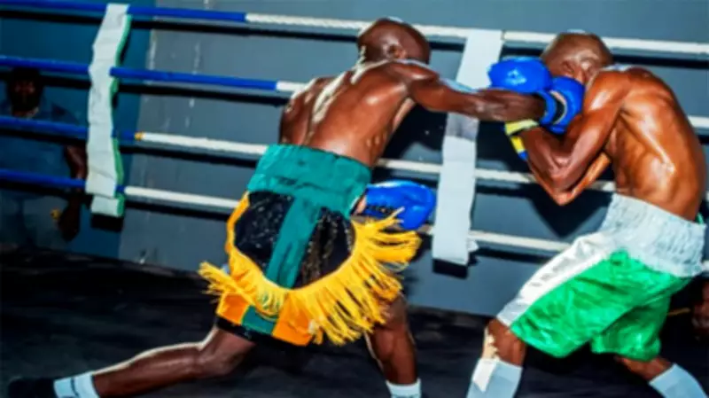 Olayiwola and Friday Dominate with Knockouts at LBHF Boxing Series in Lagos