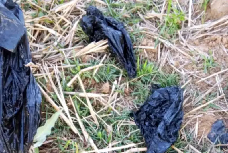 Plateau Community in Shock as Aborted Twins Found Dumped at Refuse Site