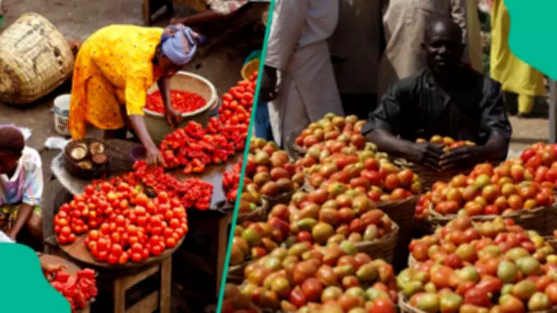 Post-Ramadan Tomato Prices Surge in Nigeria as Northern Harvest Season Concludes