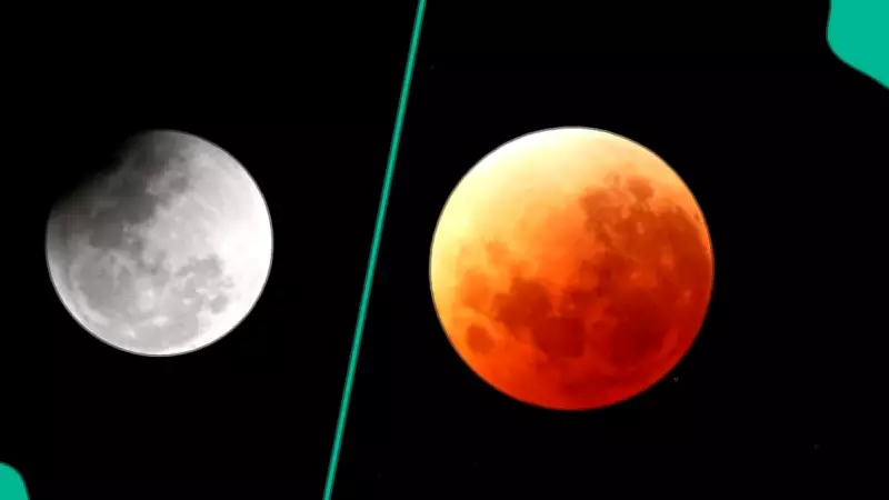 Scientists Reveal March's Red Blood Moon and Three Major Celestial Events