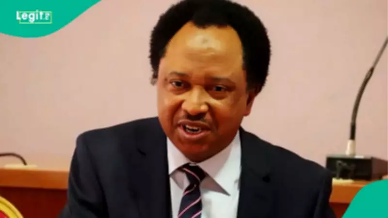 Shehu Sani Predicts Tinubu's Landslide Victory in Northern Nigeria for 2027 Election