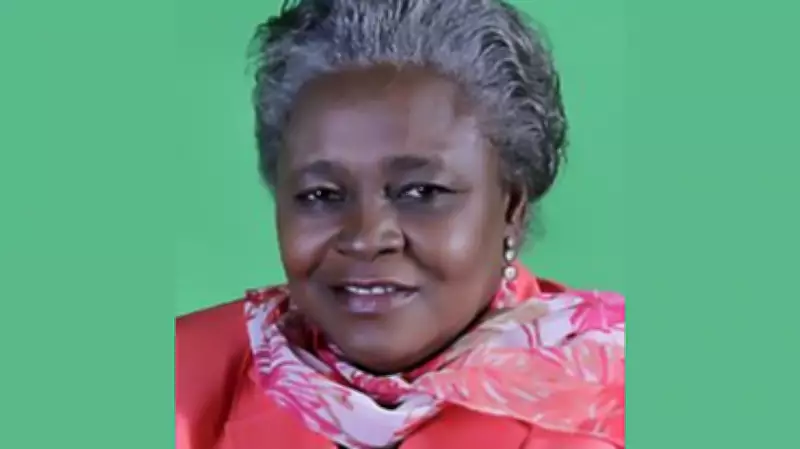 Sophia Ogwude's Literary Analysis of Nigeria's Socio-Political Landscape