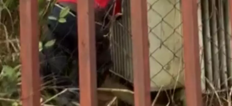 Suspected Transformer Vandal Electrocuted in Lagos, Video Surfaces Online