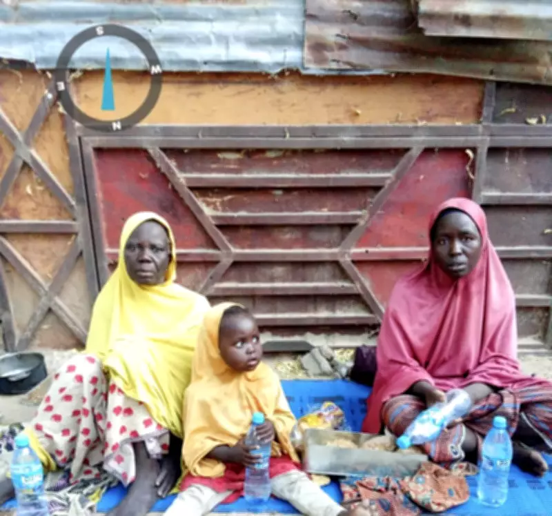 Three Boko Haram Captives Escape to Army Troops in Borno, Reveal Attack Details