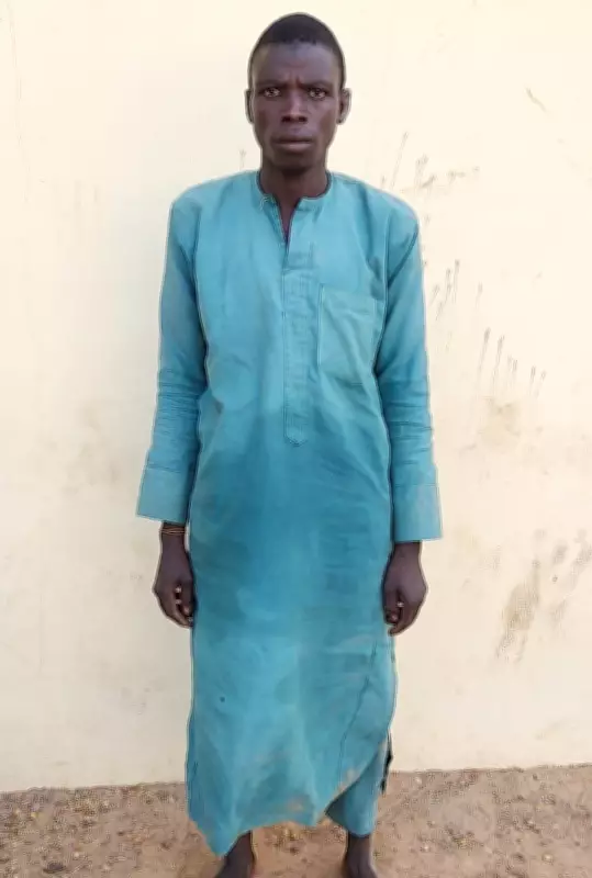 Troops Capture Suspected Boko Haram Logistics Supplier in Borno Operation