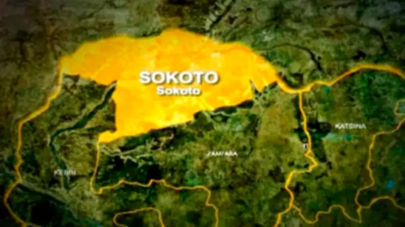 Two Pregnant Women Deliver Babies While Held Captive by Bandits in Sokoto
