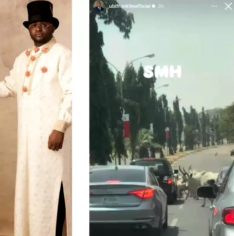 Ubi Franklin Criticizes Cattle Road Blockade as Motorists Forced to Wait