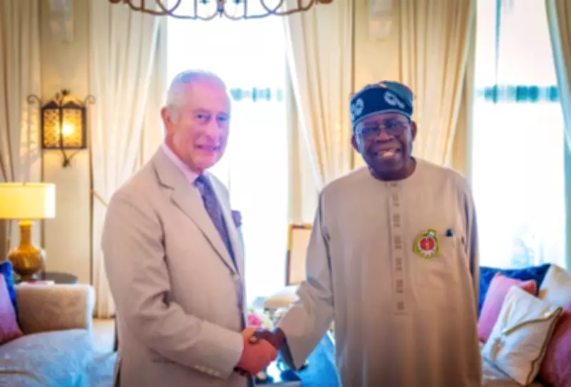 UK Imposes No-Fly Zones and Road Closures for President Tinubu's State Visit to Windsor