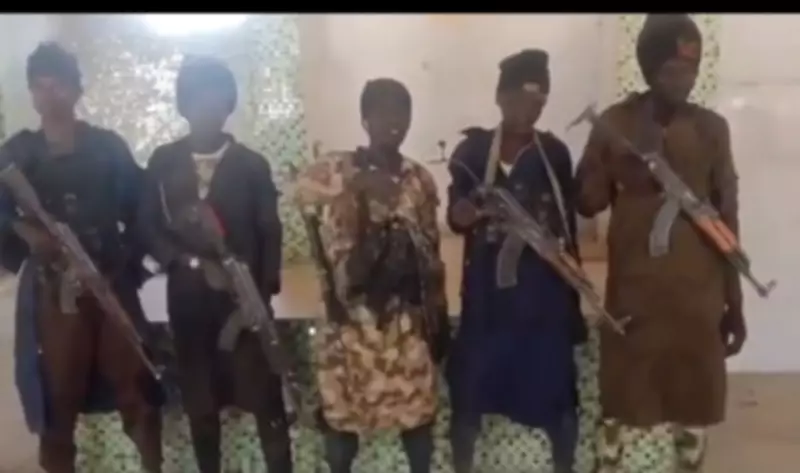 Unidentified Terrorist Group Claims Borno Massacre, Abduction of 300 Residents