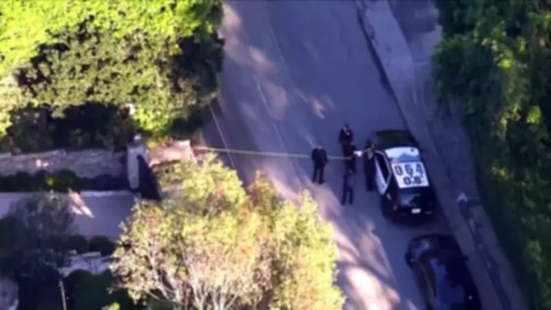 Woman Arrested for Shooting at Rihanna's Beverly Crest Home, Singer Unharmed