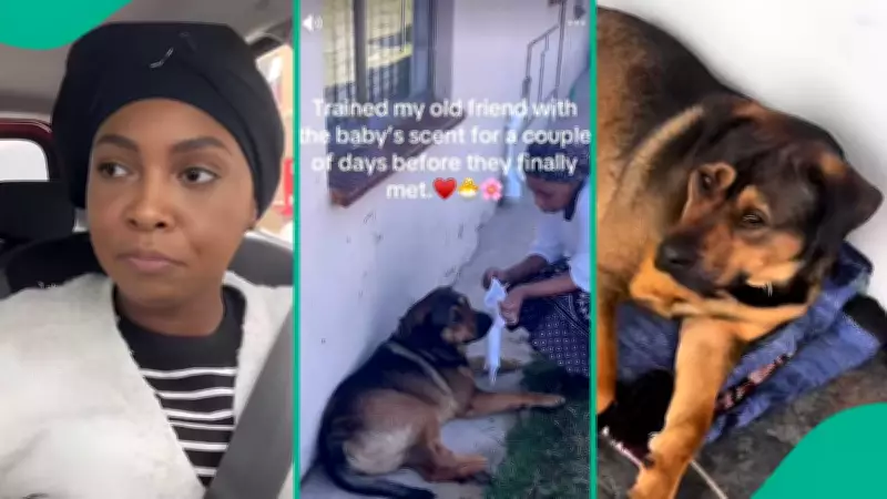 Woman's Scent Training Method Helps Dog Bond with Newborn Baby After Initial Rejection
