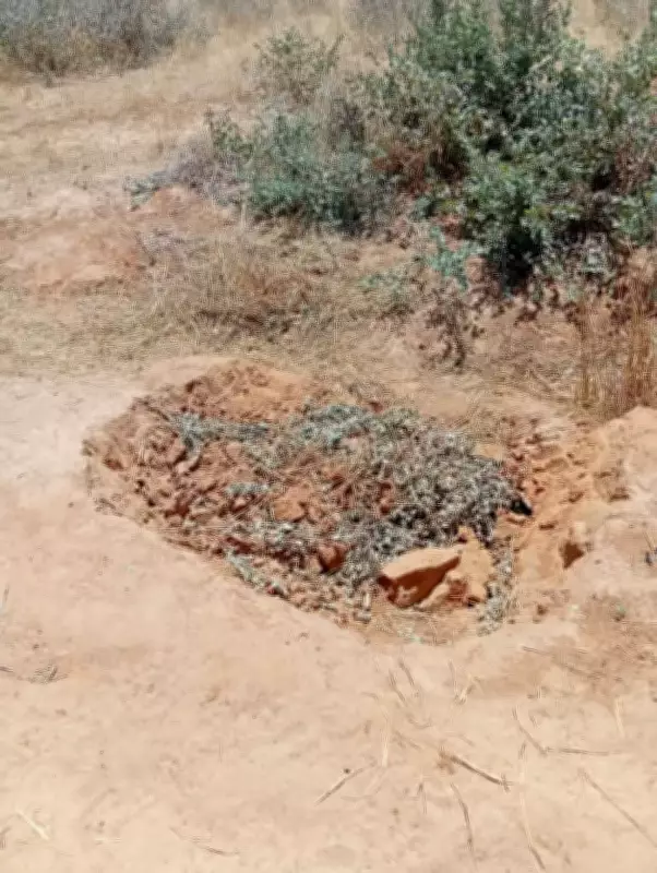 Yobe Police Uncover Decomposing Body in Shallow Grave, Launch Murder Probe