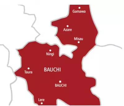 Bauchi Bride and 15 Others Freed After 57 Days in Captivity Following Ransom Payment