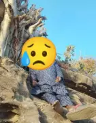 Adamawa Police Probe Unnatural Death as Man Found Hanging on Tree