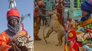Bauchi Durbar Festival Showcases Nigeria's Rich Cultural Heritage in Vivid Display