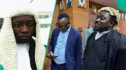 Courtroom Drama as Judge Orders Sowore's Lawyer to Kneel, Threatens Contempt