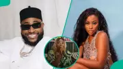 Davido Files Lawsuit Against Sophia Momodu Fan Over Online Comments, She Pleads for Mercy