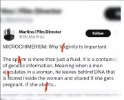 Film Director's DNA Claim Sparks Online Debate on Virginity and Science