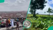 Ibadan's Population Boom Strains Biodiversity Amid Housing Crisis