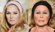 Italy Seizes €20M in Assets Allegedly Stolen from Bond Star Ursula Andress