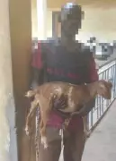 Kaduna Court Sentences Teen to Jail for Stealing Pregnant Goat, Weapon Charge