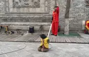 Monkey 'Execution' Show in China Sparks Outrage Over Animal Abuse Allegations