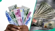 Naira Gains Strength in Official and Parallel Markets as CBN Injects $700 Million