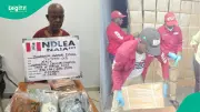 NDLEA Arrests 74-Year-Old Grandpa with 11kg Drugs at Abuja Airport