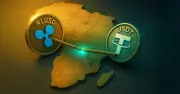 Nigeria Leads Global Stablecoin Adoption with Highest USDT and USDC Ownership