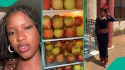 Nigerian Lady Receives Over 110 Apples as Gift from Boyfriend, Video Goes Viral