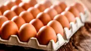 Nigerians Groan as Egg Prices Soar to N8,500 Per Crate, May Hit N10,000