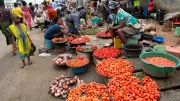 Nigeria's Inflation Forecast to Hit 15.24% in March Amid Price Pressures