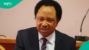 Shehu Sani Predicts Tinubu's Landslide Victory in Northern Nigeria for 2027 Election