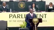 Wardrobe Malfunction Disrupts South African Finance Minister's Parliament Address