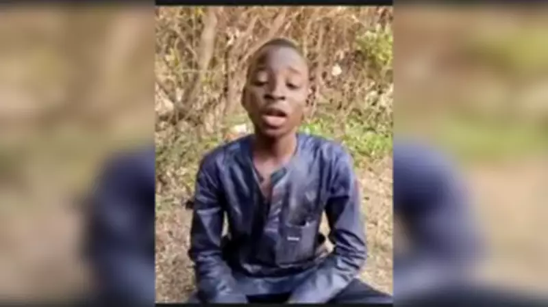 15-Year-Old Boy Arrested for Attack on Army in Borno, HURIWA Condemns Airstrike