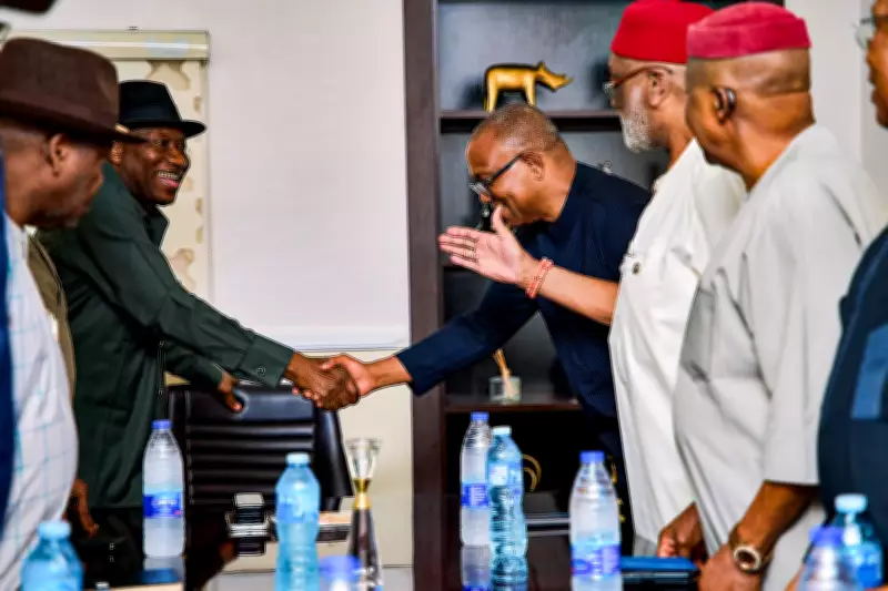 2027: Peter Obi, South East Leaders Visit Ex-President Jonathan
