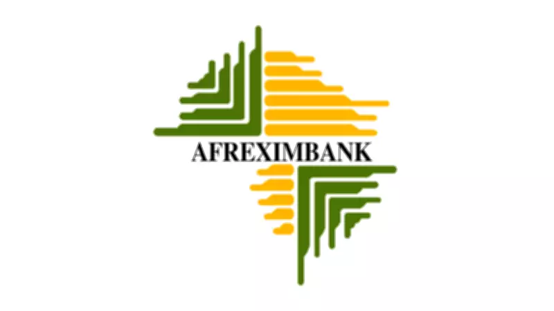 Afreximbank Assets Surge to $48.5 Billion Amid Global Challenges