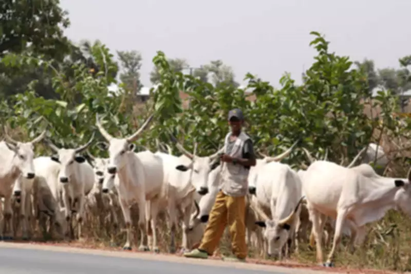 Benue Police Issue Stern Warning to Cattle Rustlers, Threaten Legal Action