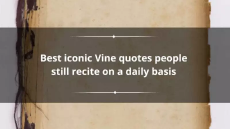 Best Iconic Vine Quotes People Still Recite Daily: A Nostalgic Look