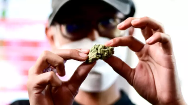 Cannabis Use in Men Linked to Miscarriage Risk and DNA Changes in Sperm