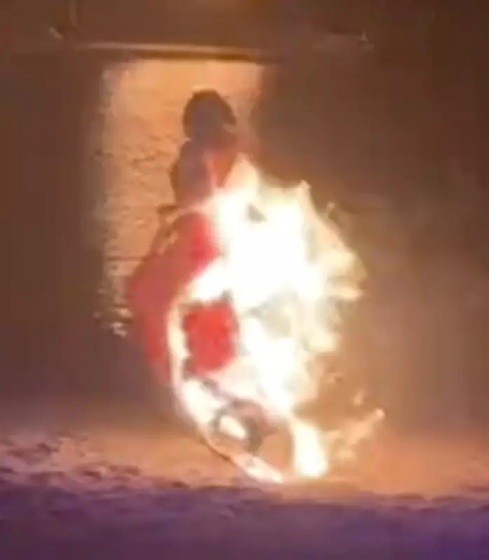 Dancer Engulfed in Flames During Zoo Performance, Jumps into River to Survive