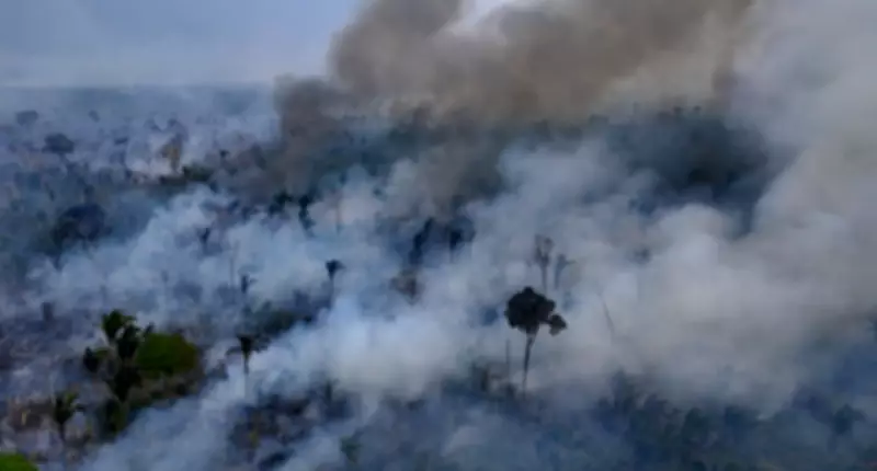 Ecuador Begins Fracking in Amazon Rainforest, Sparking Environmental Concerns