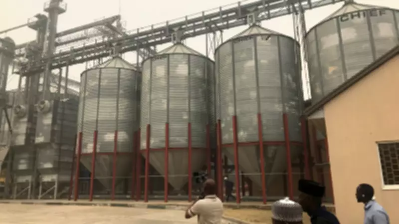 Expert Urges FG to End Silos in Agricultural Projects Amid Farmer Losses