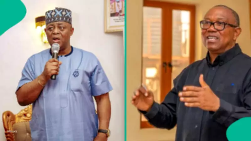 Fani-Kayode Vows Peter Obi Will Never Be President After NADECO Remarks