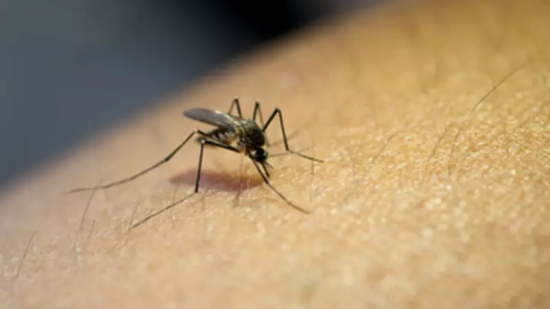 FG Backs Youth Competition to Eradicate Malaria on World Malaria Day 2026