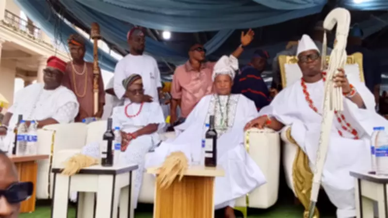 Fix CCTV Across Nigeria, Not Just Jos, Gani Adams Tells Tinubu