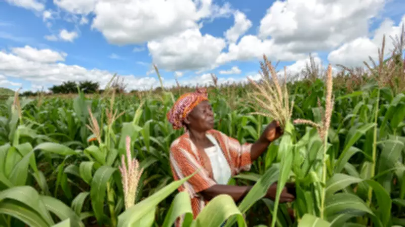 Food Security and Farm Reforms Dominate Vanguard Economic Discourse Agenda