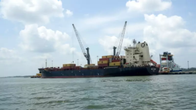 Global Trade Rises in 2025 as Manufacturing Expands 11%