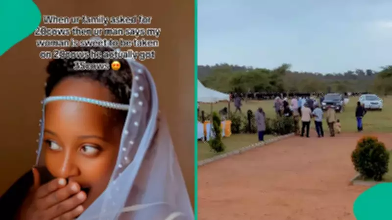 Groom Exceeds Expectation, Presents 35 Cows Instead of 20 to Bride's Family