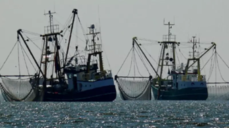 High Operational Costs Ground 80% of Nigeria's Fishing Fleet, Endangering 10,000 Jobs